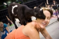 denver_fair_12