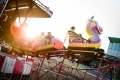 denver_fair_19