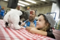 denver_fair_24