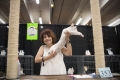 denver_fair_30